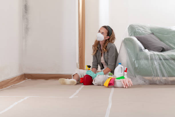 Reliable Mold Removal contractor in Alamance, NC by WQB Mold Removal